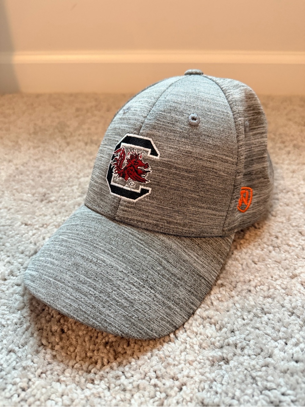 South Carolina Gamecocks baseball hat